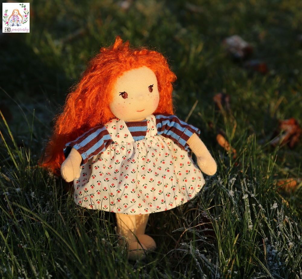 zrzavá panenka v trávě s jinovatkou