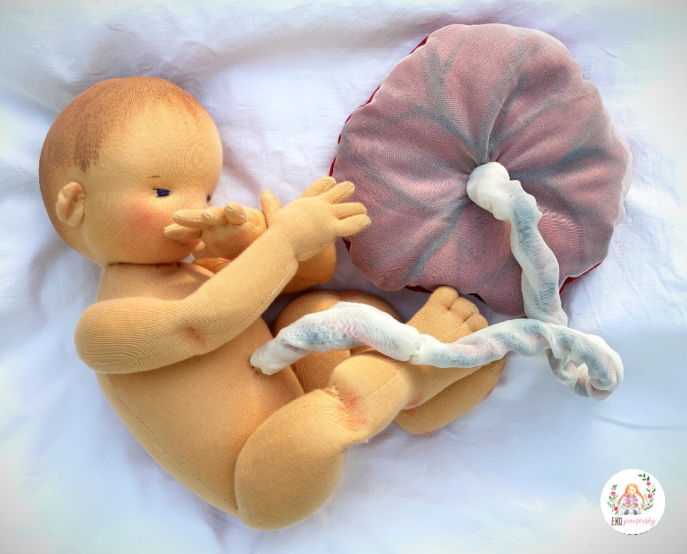 ručně šitá panenka - novorozeně s placentou, panenka pro předporodní kurzy