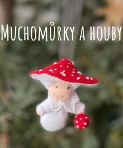 Muchomůrka kurz
